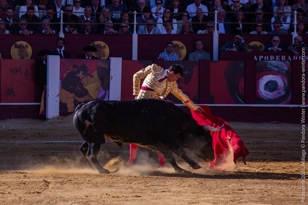 Corrida Picassiana 2026 @ Málaga, 04-04-2025