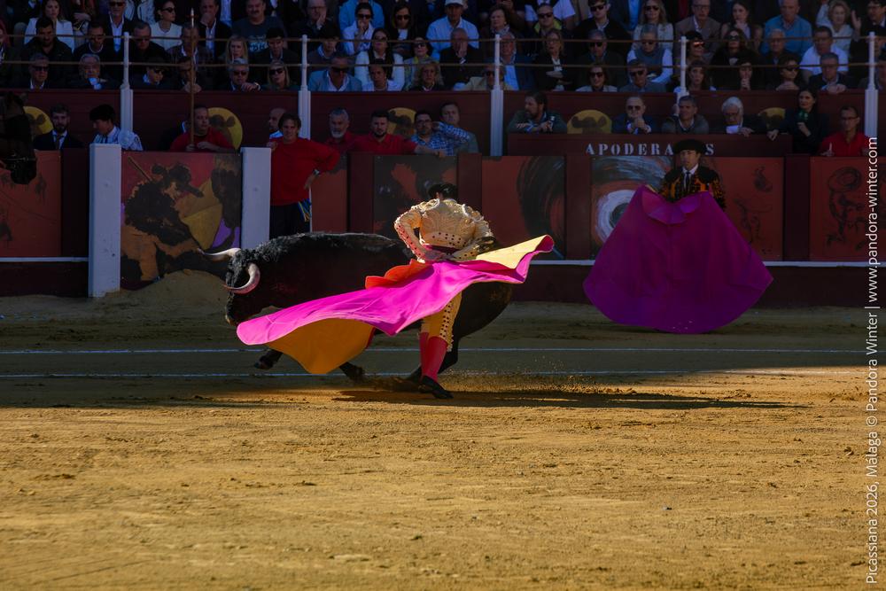 Corrida Picassiana 2026 @ Málaga, 04-04-2025