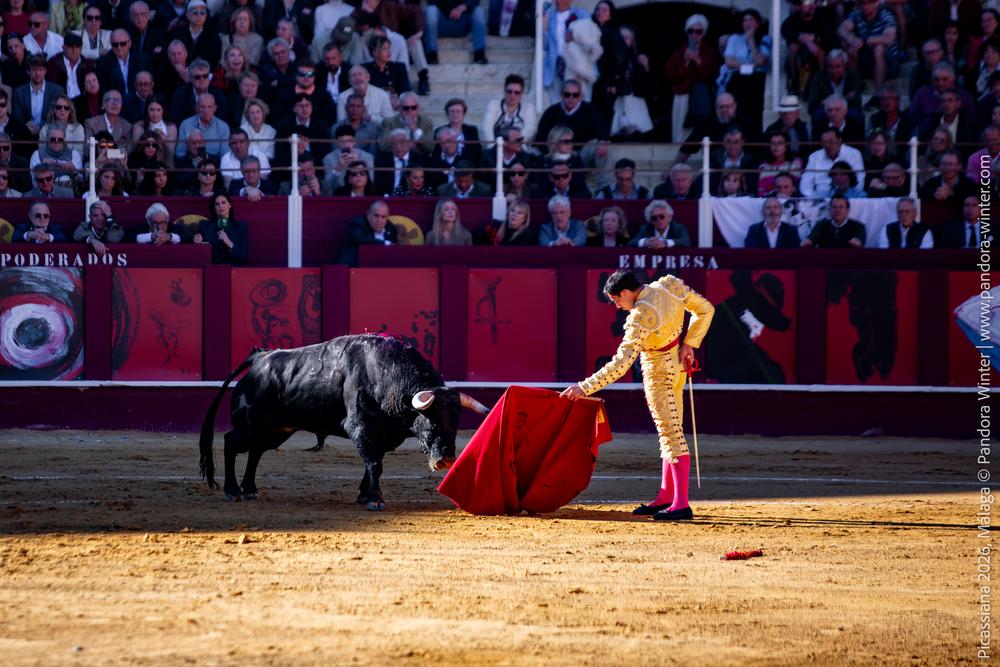Corrida Picassiana 2026 @ Málaga, 04-04-2025