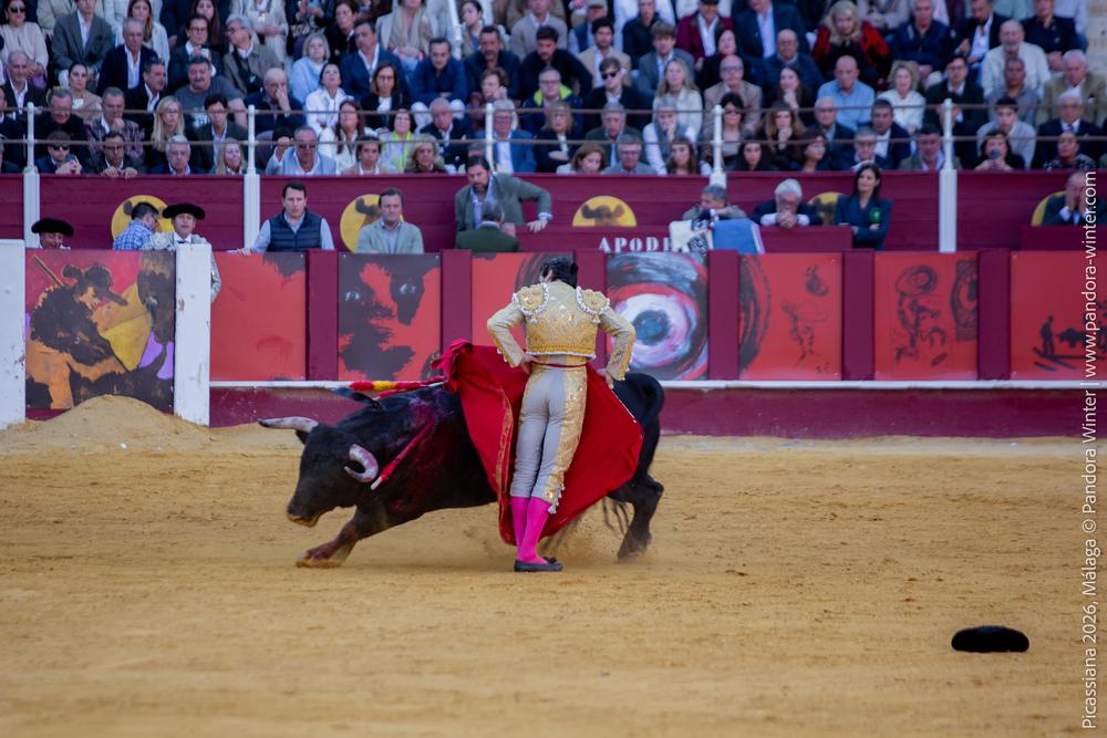 Corrida Picassiana 2026 @ Málaga, 04-04-2025