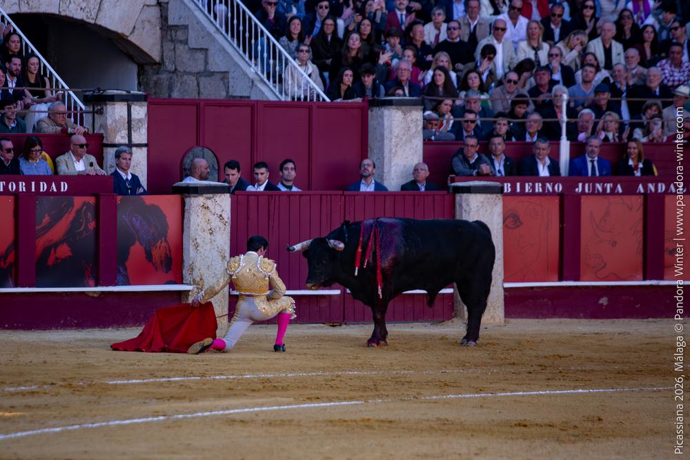 Corrida Picassiana 2026 @ Málaga, 04-04-2025