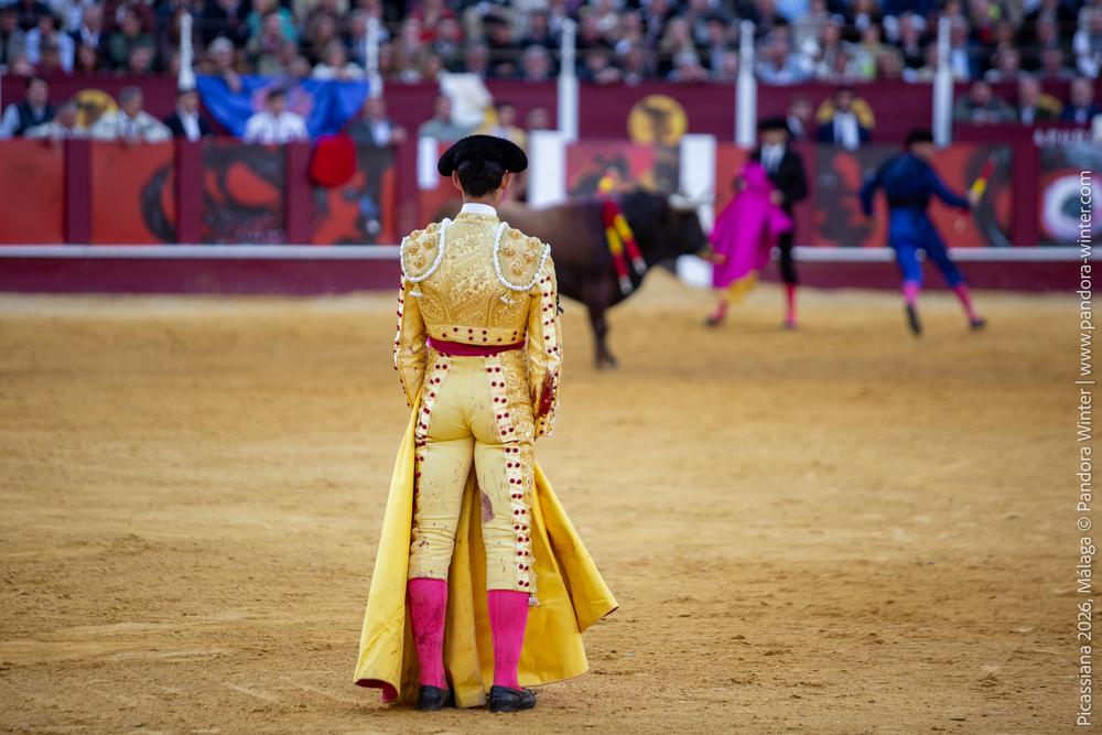 Corrida Picassiana 2026 @ Málaga, 04-04-2025