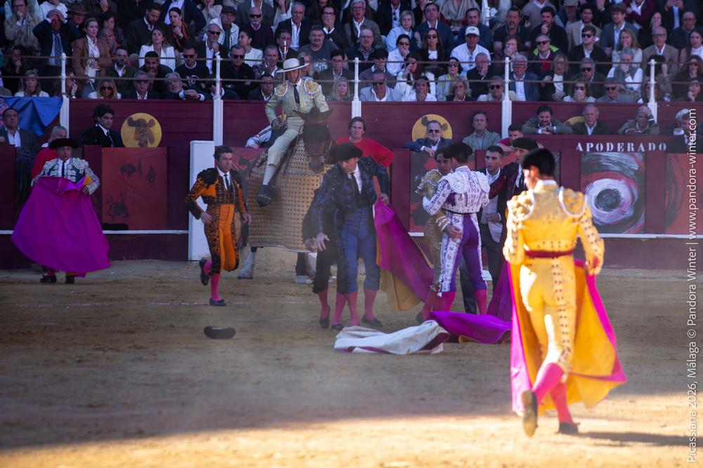 Corrida Picassiana 2026 @ Málaga, 04-04-2025