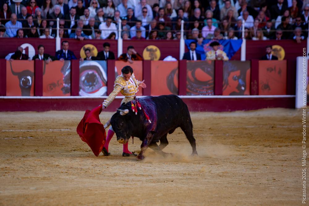Corrida Picassiana 2026 @ Málaga, 04-04-2025