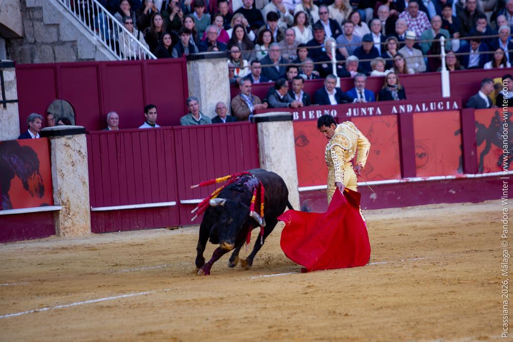 Corrida Picassiana 2026 @ Málaga, 04-04-2025