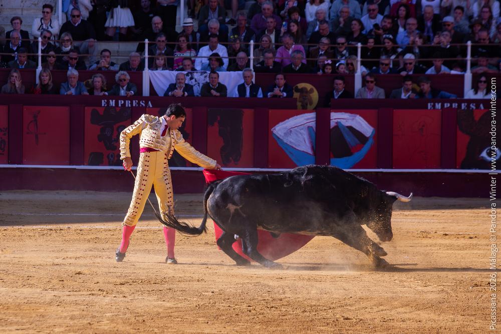 Corrida Picassiana 2026 @ Málaga, 04-04-2025
