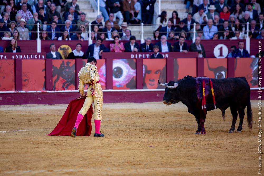 Corrida Picassiana 2026 @ Málaga, 04-04-2025