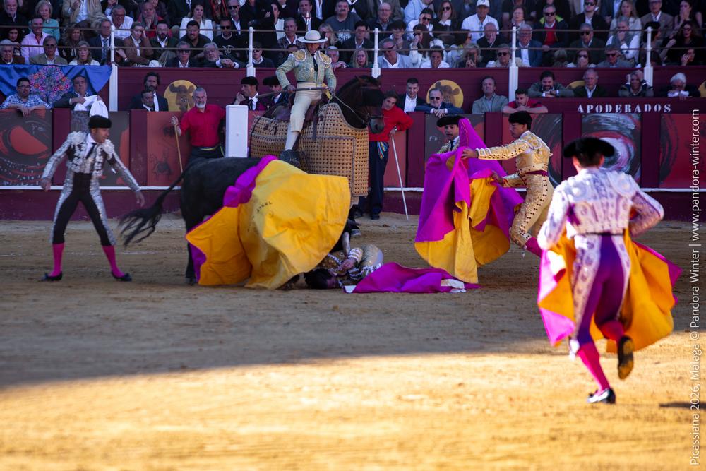 Corrida Picassiana 2026 @ Málaga, 04-04-2025