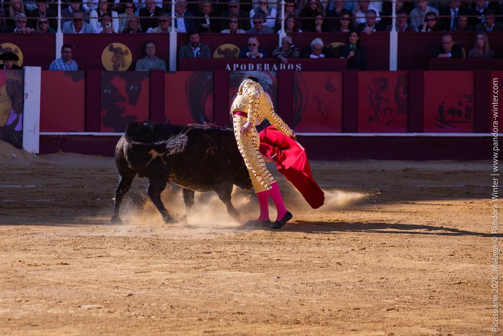Corrida Picassiana 2026 @ Málaga, 04-04-2025