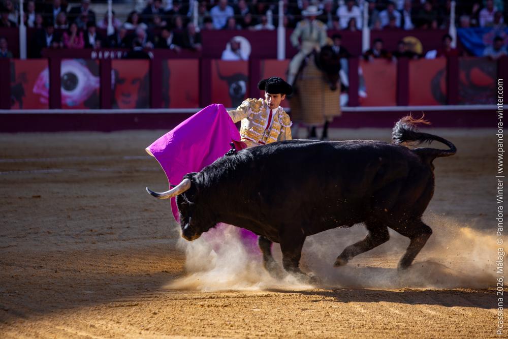 Corrida Picassiana 2026 @ Málaga, 04-04-2025