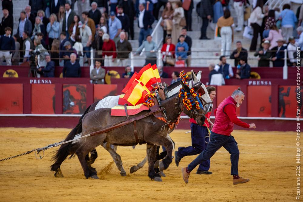 Corrida Picassiana 2026 @ Málaga, 04-04-2025