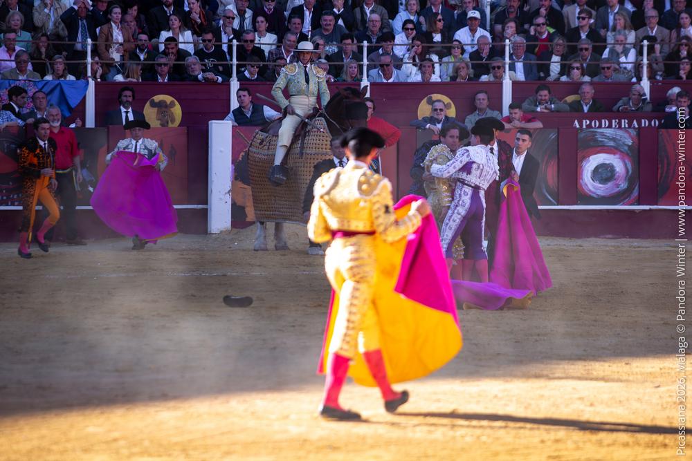 Corrida Picassiana 2026 @ Málaga, 04-04-2025