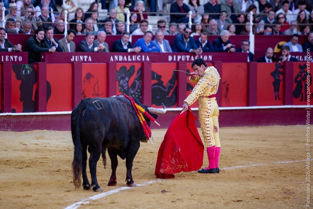 Corrida Picassiana 2026 @ Málaga, 04-04-2025