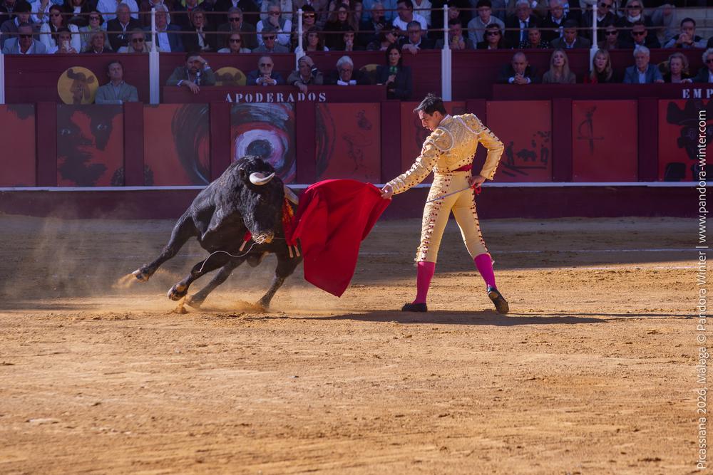 Corrida Picassiana 2026 @ Málaga, 04-04-2025