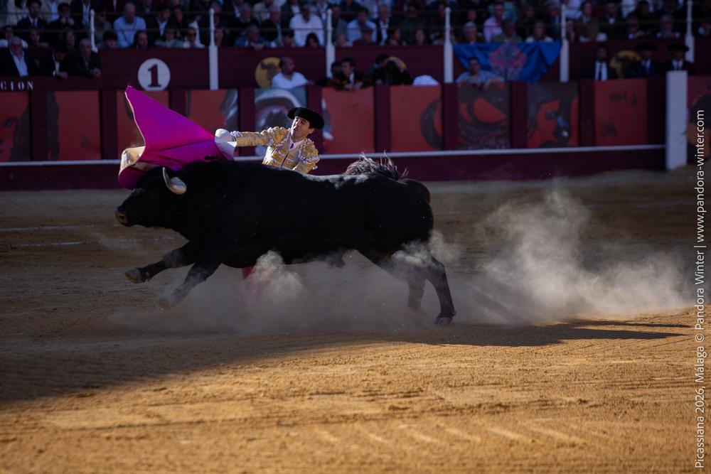 Corrida Picassiana 2026 @ Málaga, 04-04-2025