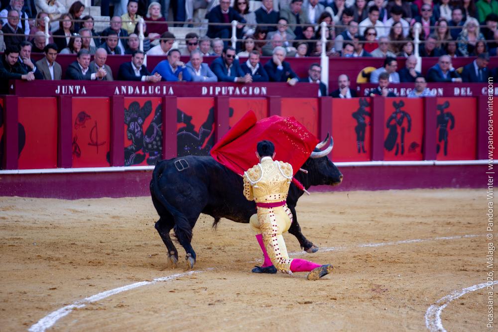 Corrida Picassiana 2026 @ Málaga, 04-04-2025