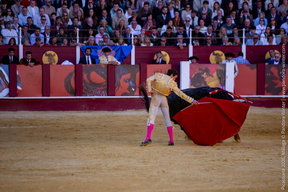 Corrida Picassiana 2026 @ Málaga, 04-04-2025