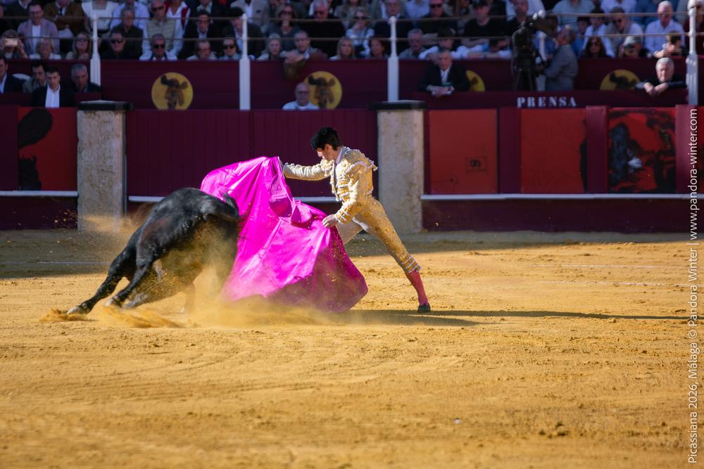 Corrida Picassiana 2026 @ Málaga, 04-04-2025