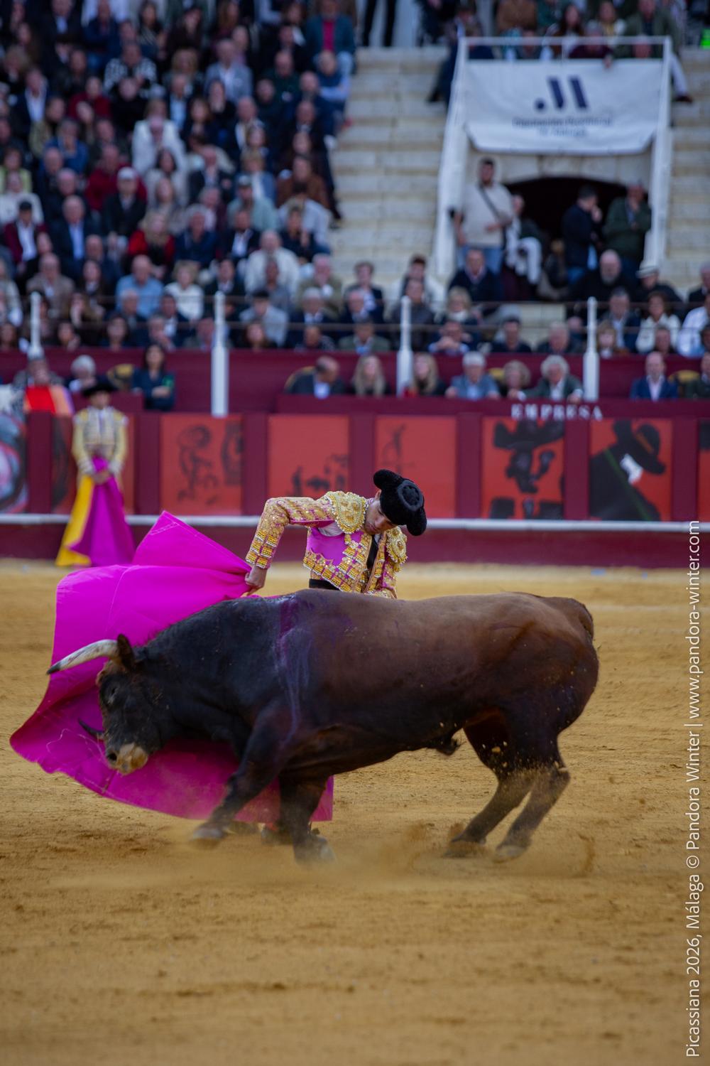 Corrida Picassiana 2026 @ Málaga, 04-04-2025