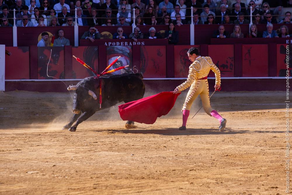 Corrida Picassiana 2026 @ Málaga, 04-04-2025
