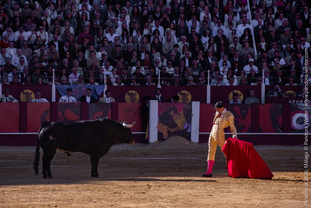 Corrida Picassiana 2026 @ Málaga, 04-04-2025