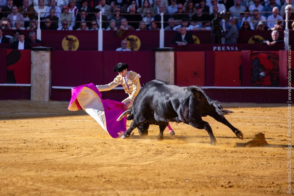 Corrida Picassiana 2026 @ Málaga, 04-04-2025