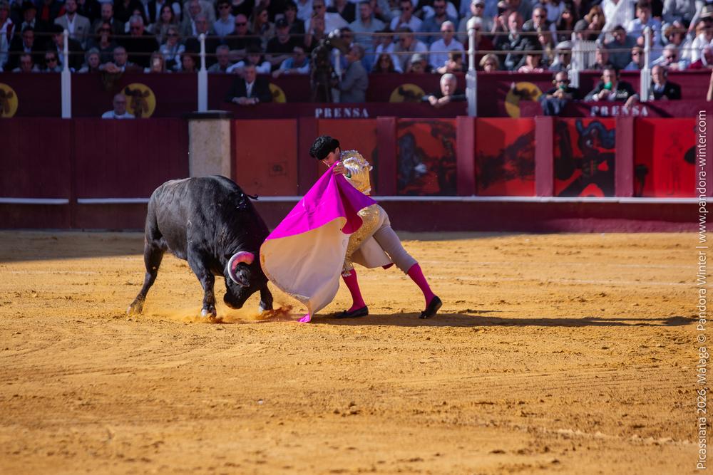 Corrida Picassiana 2026 @ Málaga, 04-04-2025