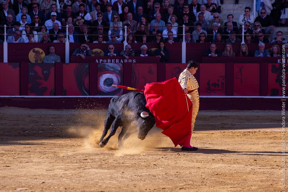 Corrida Picassiana 2026 @ Málaga, 04-04-2025