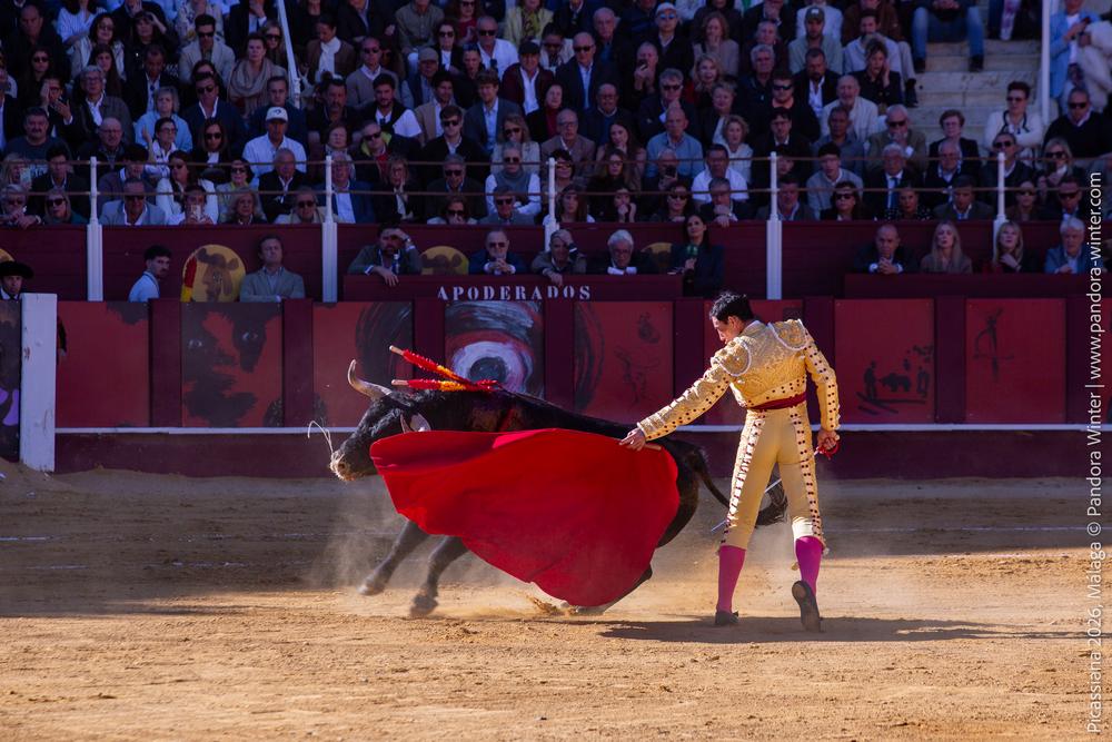 Corrida Picassiana 2026 @ Málaga, 04-04-2025