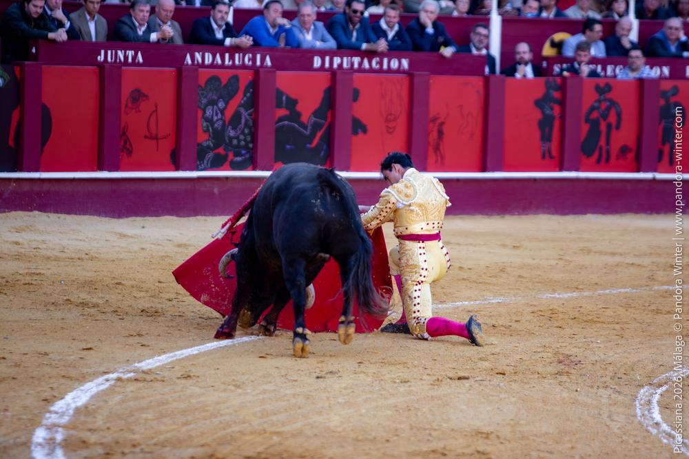 Corrida Picassiana 2026 @ Málaga, 04-04-2025