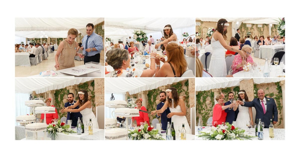 Boda Angel y Alba (Alcala de Henares, Finca El Olivar, julio 2016)