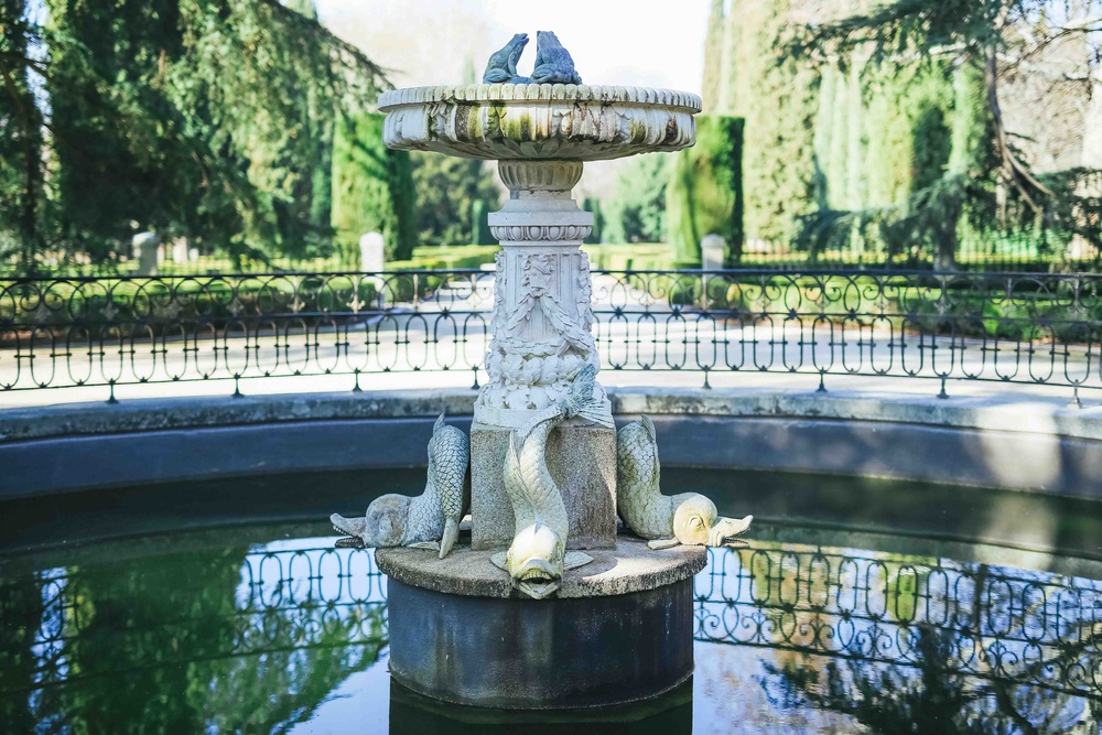 Preboda de Daria y Jose Alfredo (Parque El Capricho)
