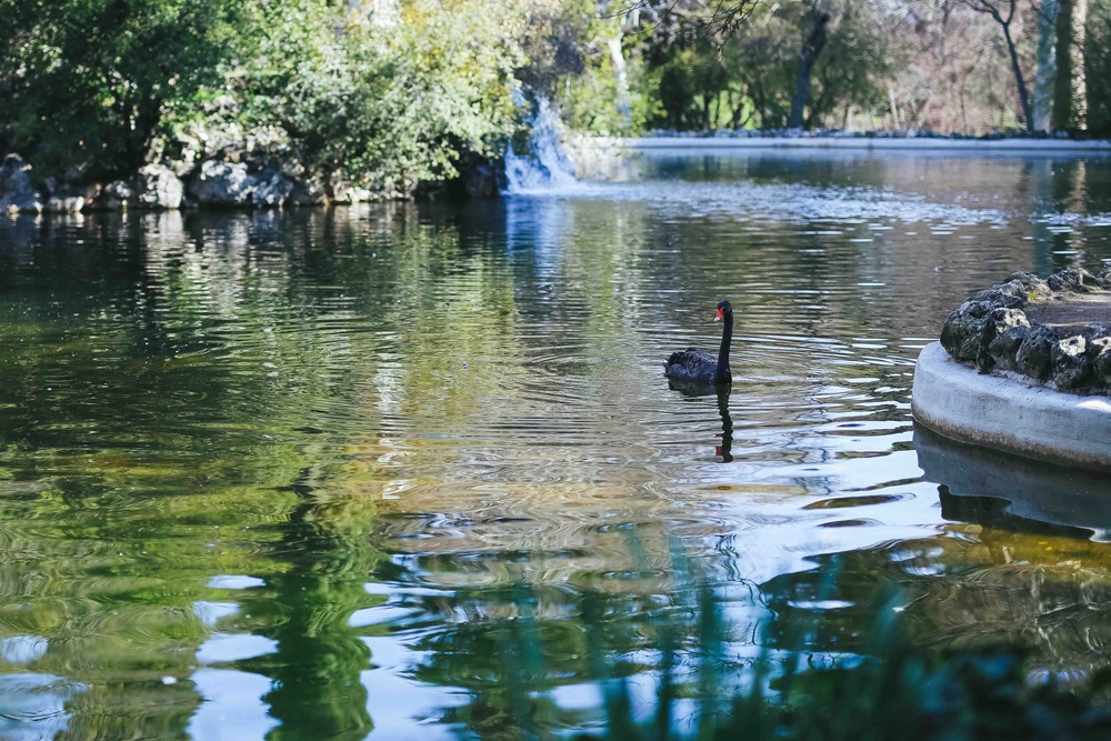 Preboda de Daria y Jose Alfredo (Parque El Capricho)