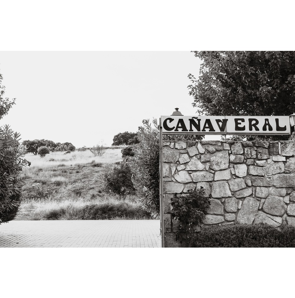 Boda de Alicia y Sergio (El Cañaveral, Madrid, septiembre 2016)