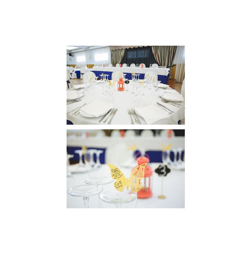 Boda de Alicia y Sergio (El Cañaveral, Madrid, septiembre 2016)