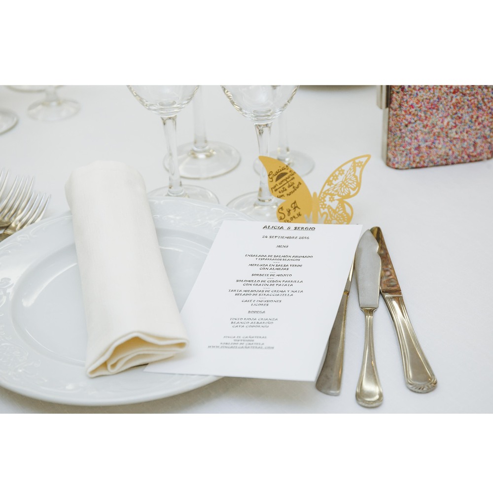 Boda de Alicia y Sergio (El Cañaveral, Madrid, septiembre 2016)