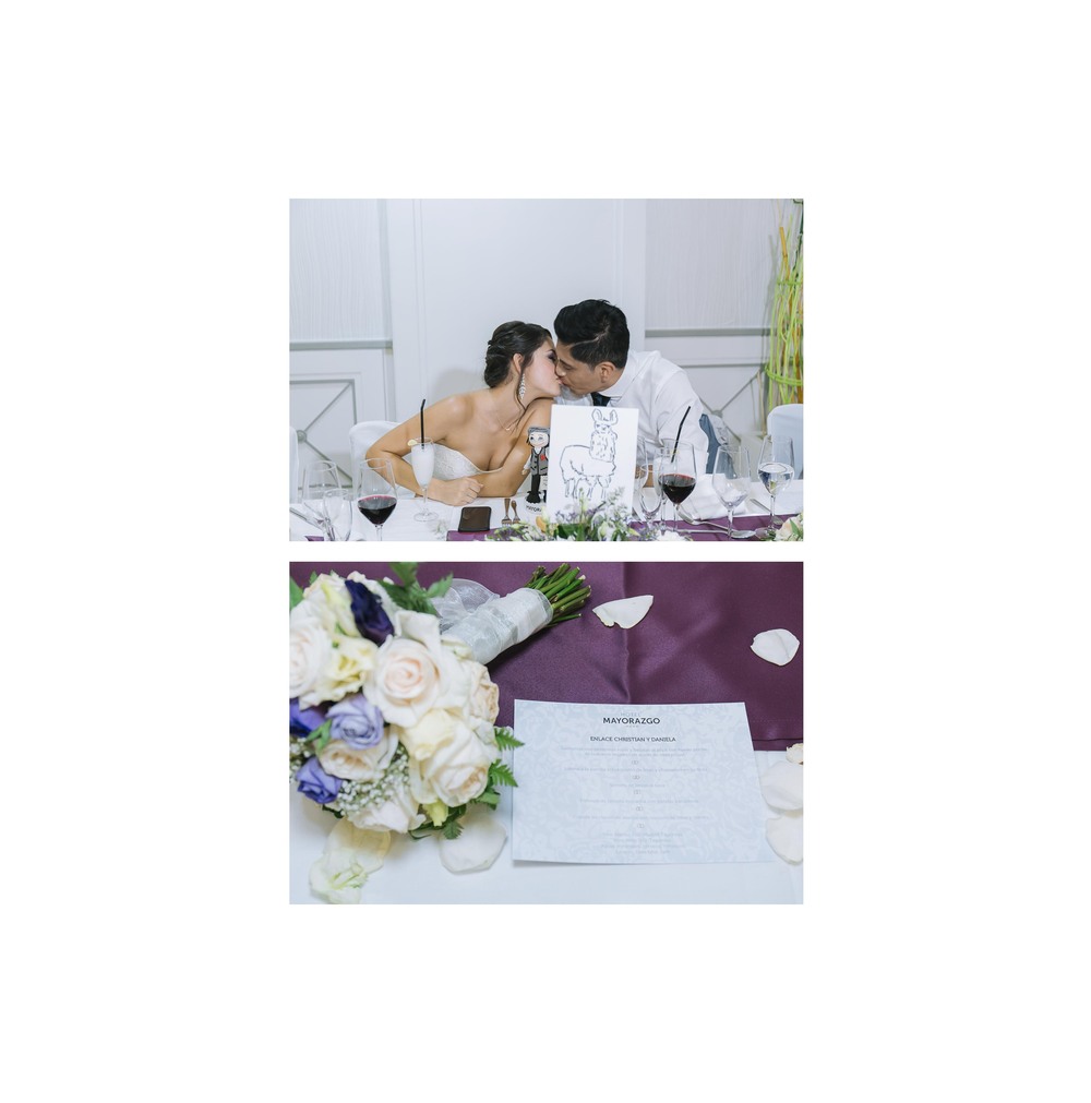 Boda de Daniela y Christian (Hotel Mayorazgo, Madrid, septiembre 2016)