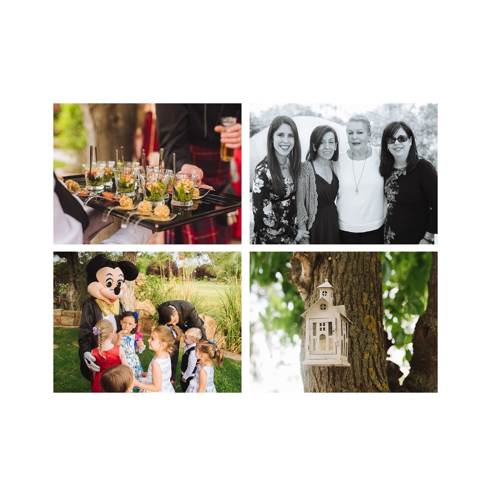 Boda Ewa y Borja (Alcalá de Henares, Finca El Olivar, mayo 2017)
