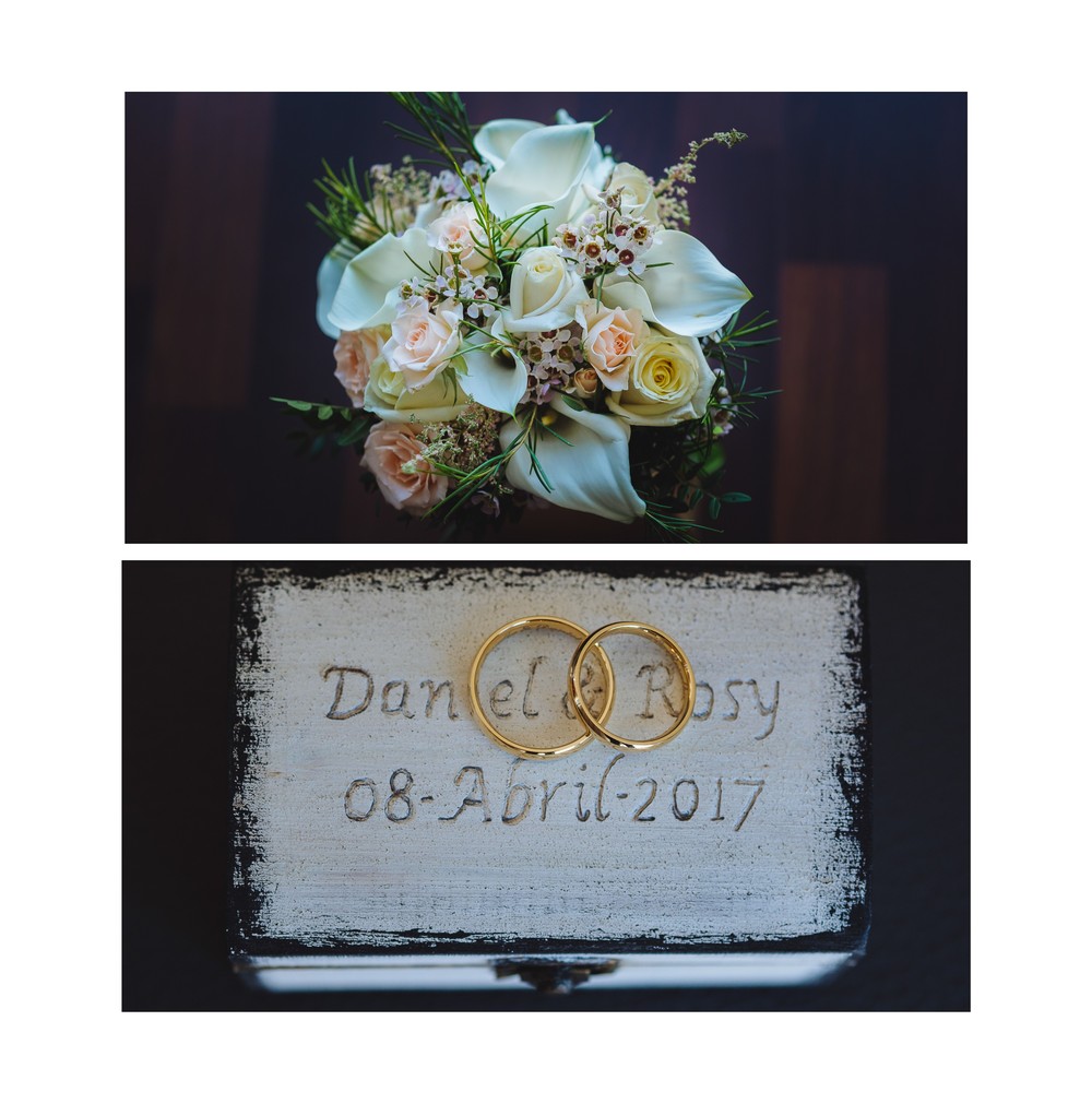 Boda Rosy y Daniel (Madrid, Fundación Dar, abril 2017)