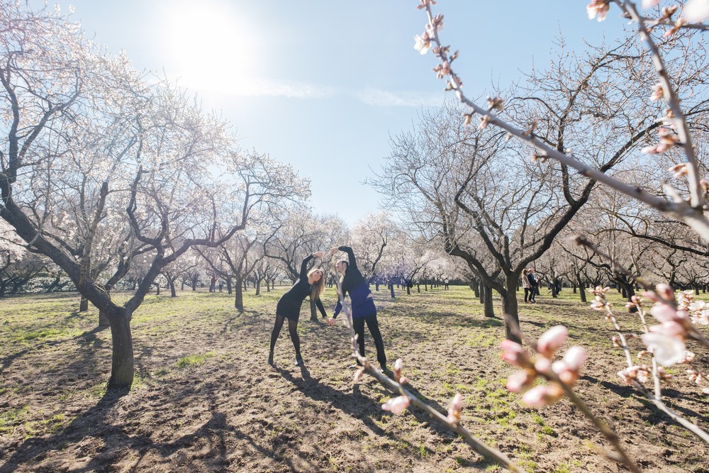  Preboda Ewa y Borja (Madrid, Parque La Quinta de Los Molinos, febrero 2017)