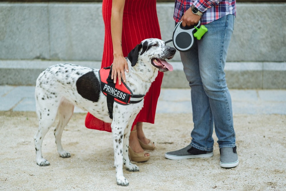 Preboda Paulina y Ruben (Parque del Retiro, junio 2018)