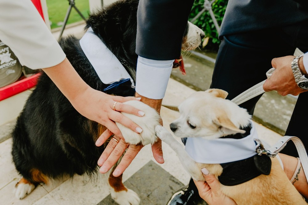 Boda Brenda y Antonio (Roma, Villa Miani)