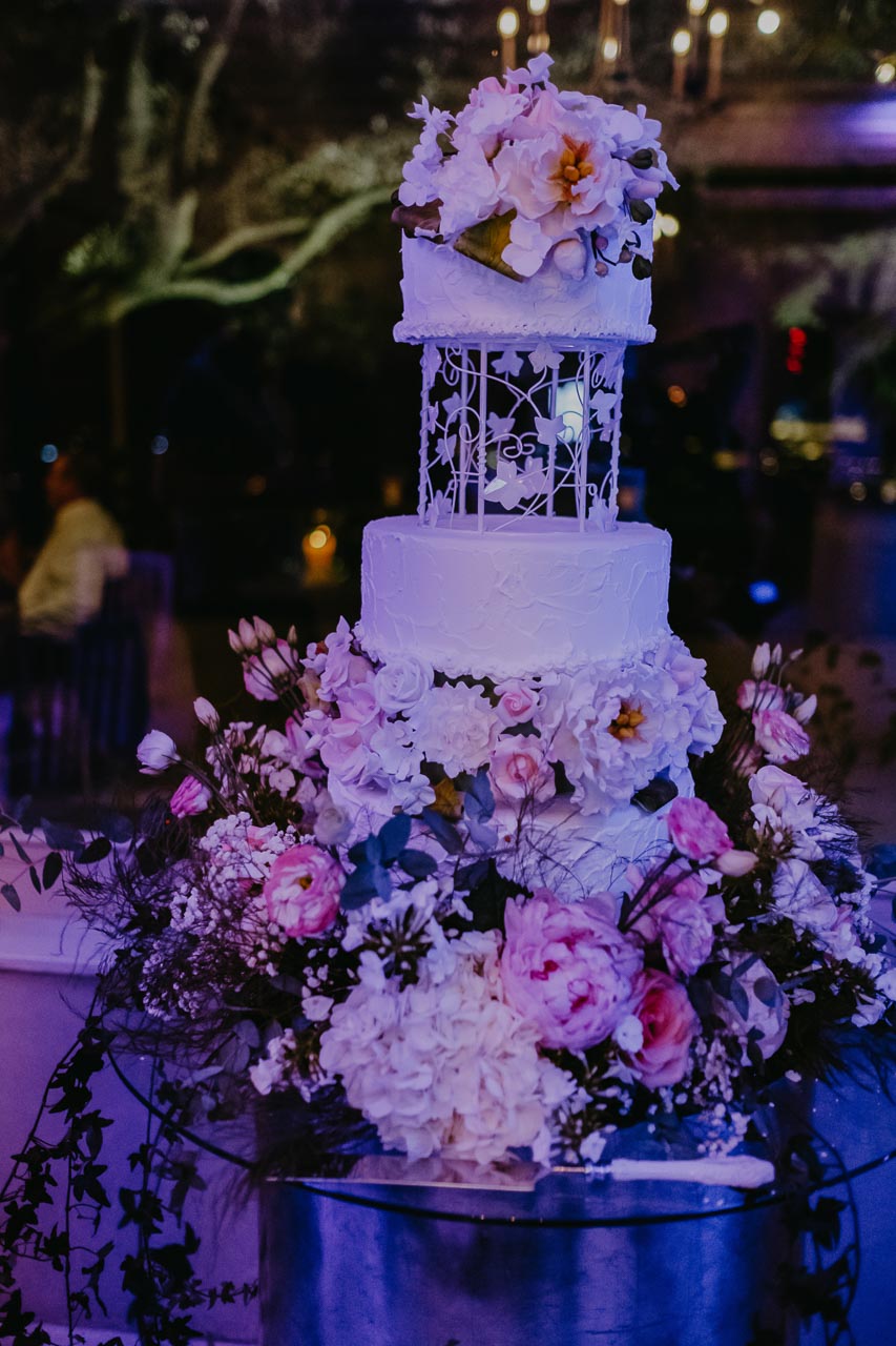  Boda Lourdes y Cesar (Cigarral de las Mercedes, Toledo)