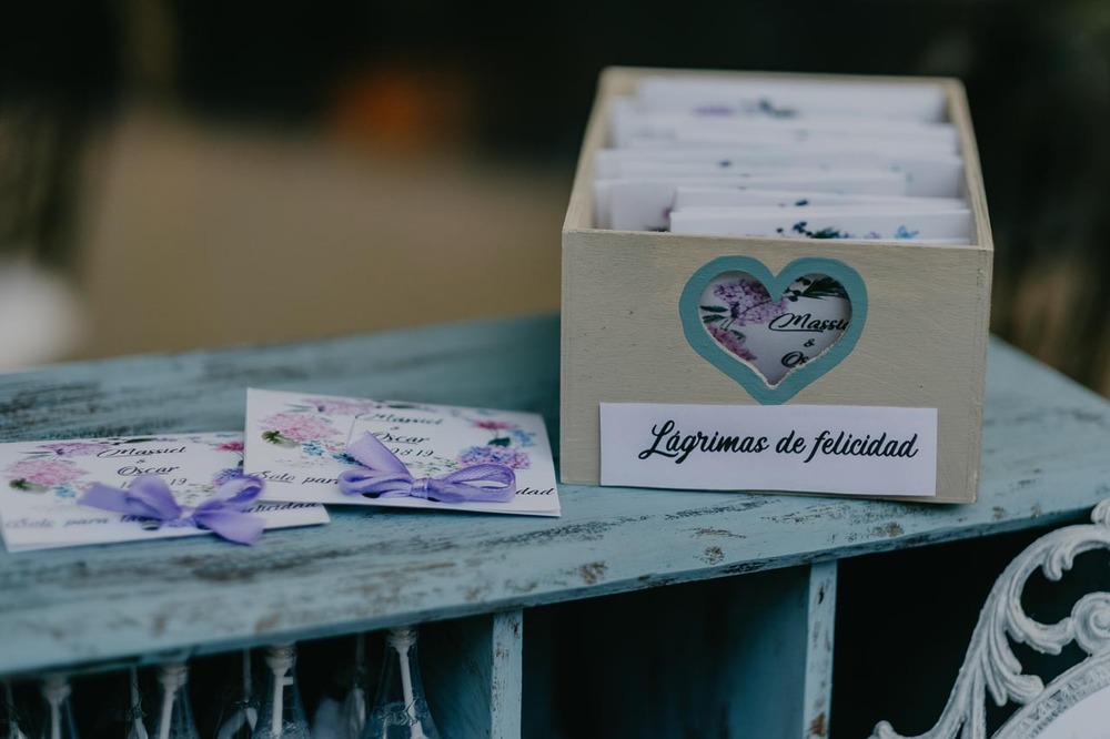 Boda Massiel y Oscar (Miravalle, Guadarrama, Madrid)