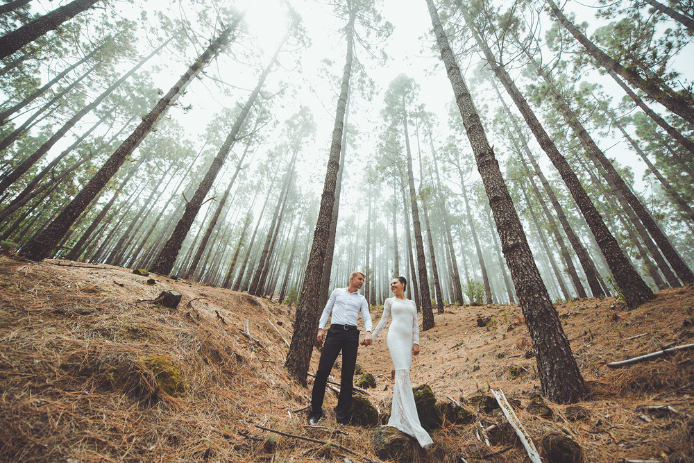 Wedding / Love story