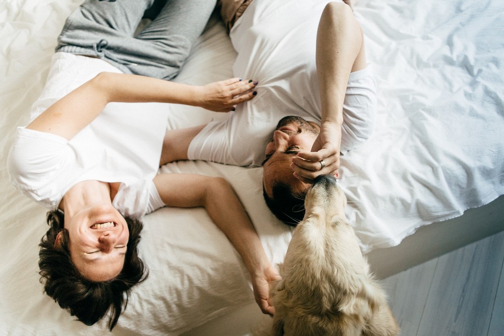 Настя, Фил, кот и пес