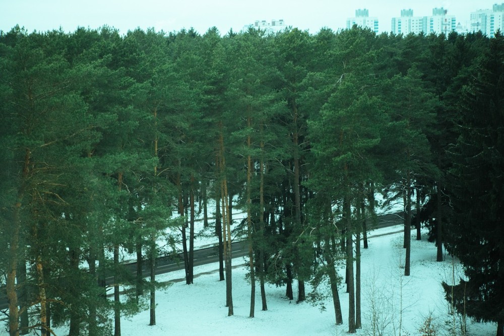 Муза в домике