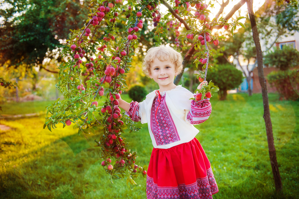 Тая и слива