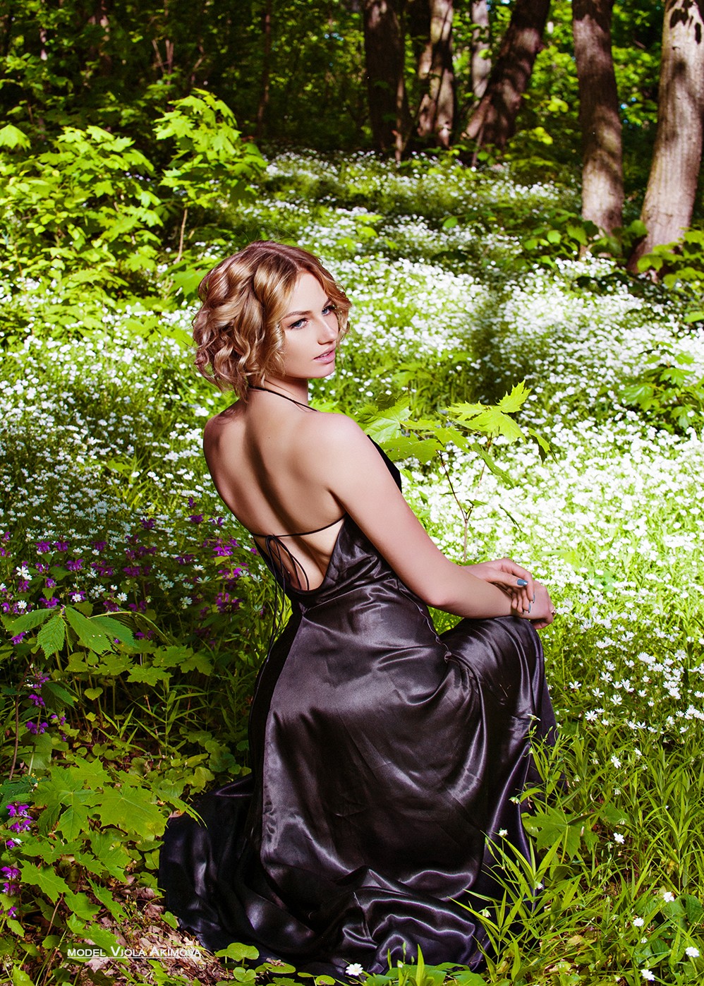 VIOLA in the forest