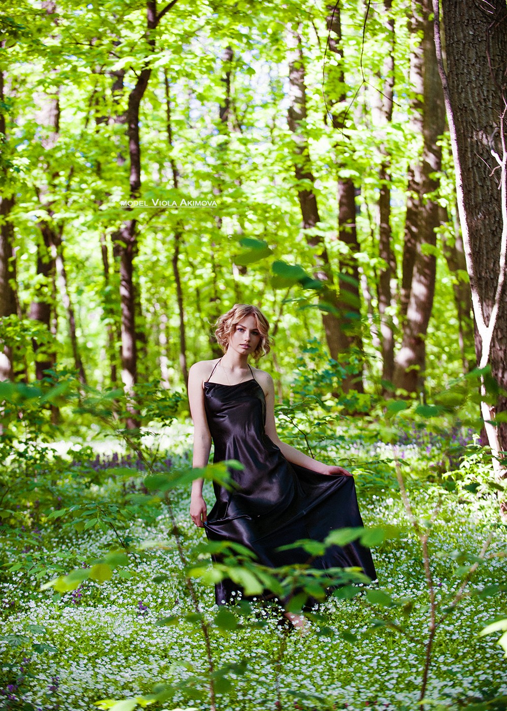 VIOLA in the forest